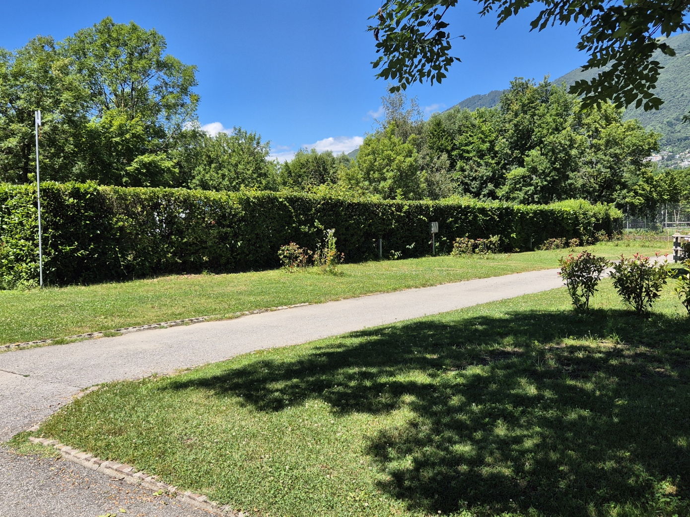 Zona VERDE * - Piazzola 231 / Piazzola 156a